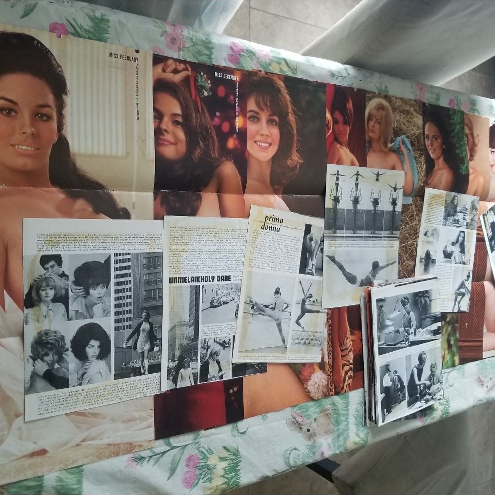 Playboy centerfolds 73 total yearsβvary from 1965-1968